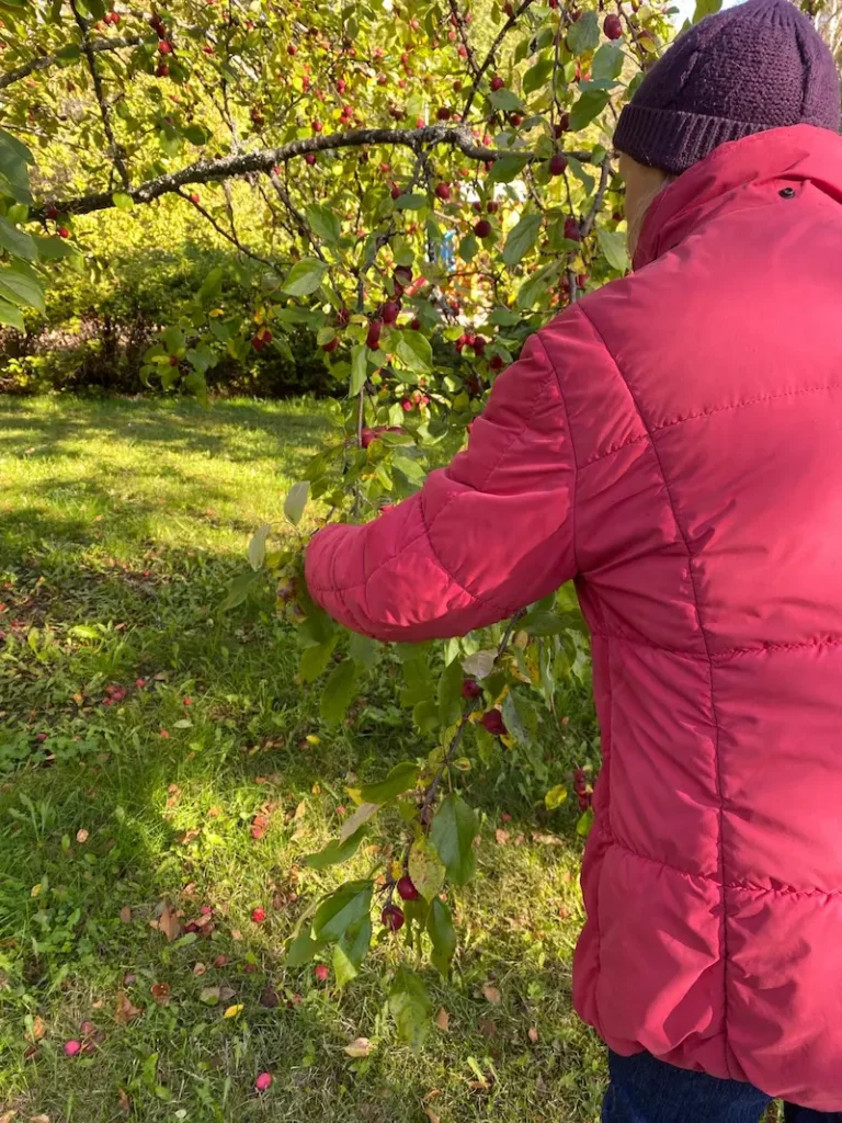 kalliokosken perhehoito satokausi